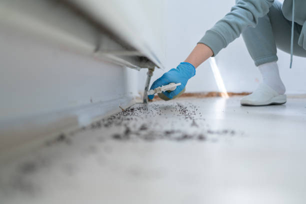 Professional Pest Control in Immokalee, FL